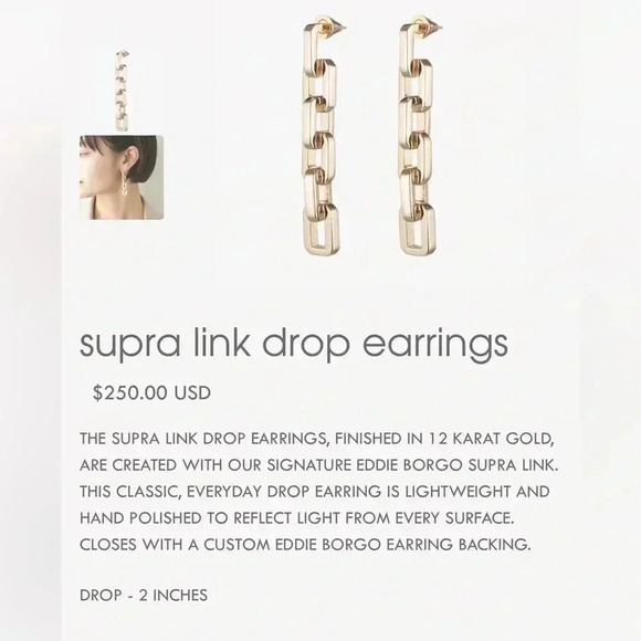 Eddie Borgo Supra Link Necklace and Earrings - Picture 3 of 6